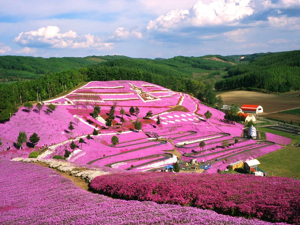 Kawayu Kanko Hotel Teshikaga Экстерьер фото